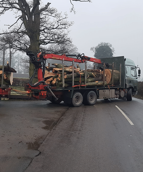 Hedge Cutting Alderley Edge