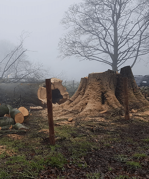 Hedge Cutting Stockport