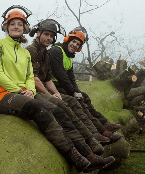Hedge Cutting Bramhall