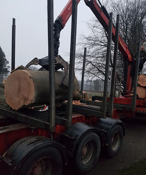 Hedge Cutting Wilmslow