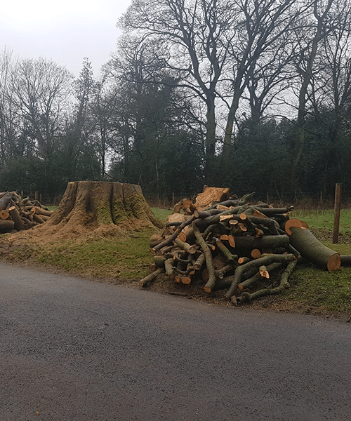Hedge Trimming Cheadle Hulme
